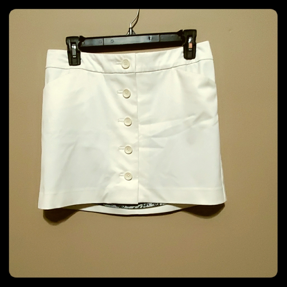 Express Skirt
